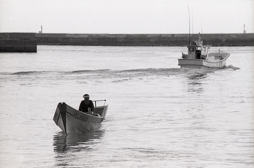 19-051-0009 19-051-0009