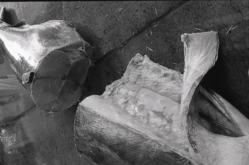 19-052-0001 19-052-0001