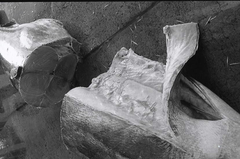 19-052-0002 19-052-0002