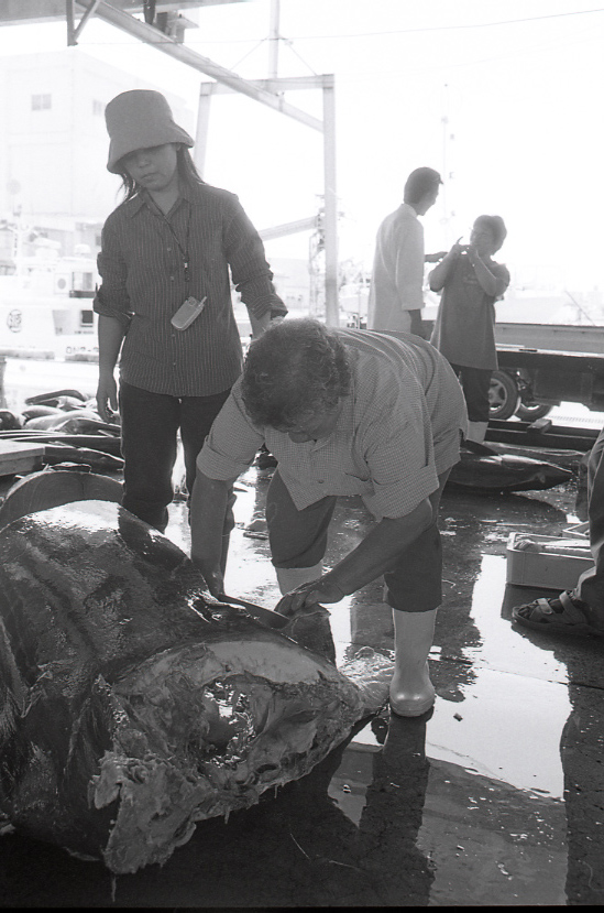 19-052-0003 19-052-0003