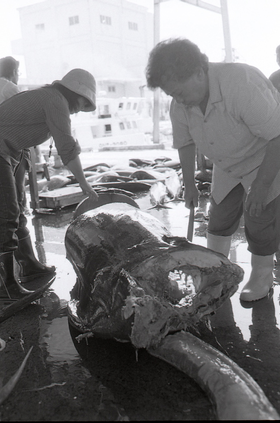 19-052-0004 19-052-0004