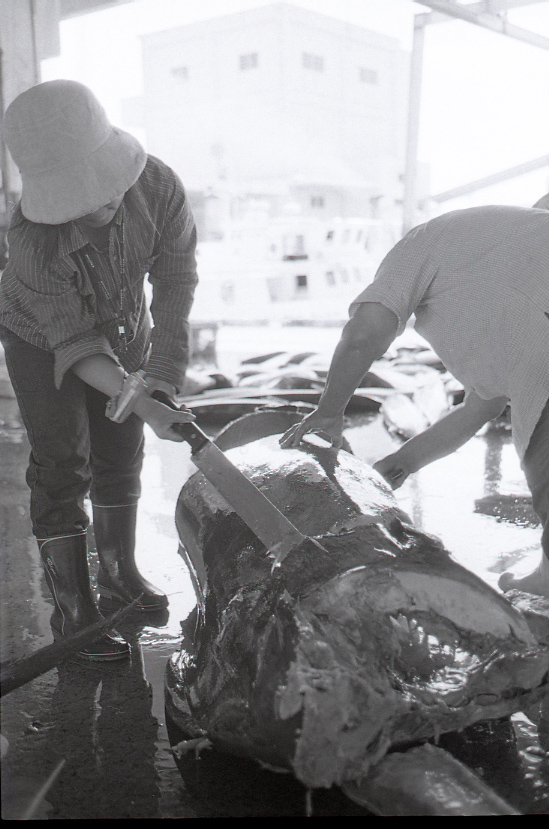 19-052-0007 19-052-0007