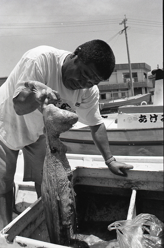 19-052-0010 19-052-0010