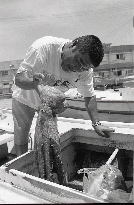 19-052-0012 19-052-0012