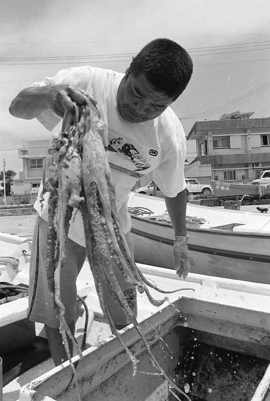 19-052-0016 19-052-0016