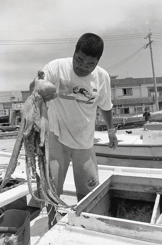 19-052-0019 19-052-0019