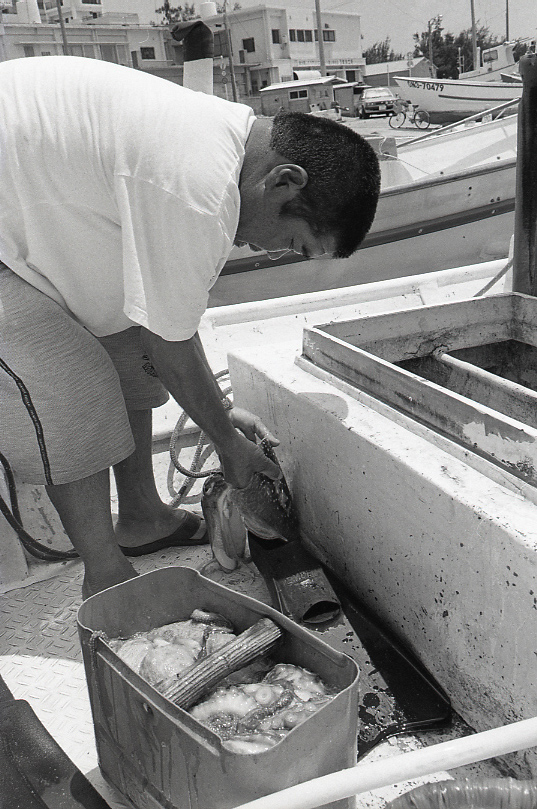 19-052-0020 19-052-0020