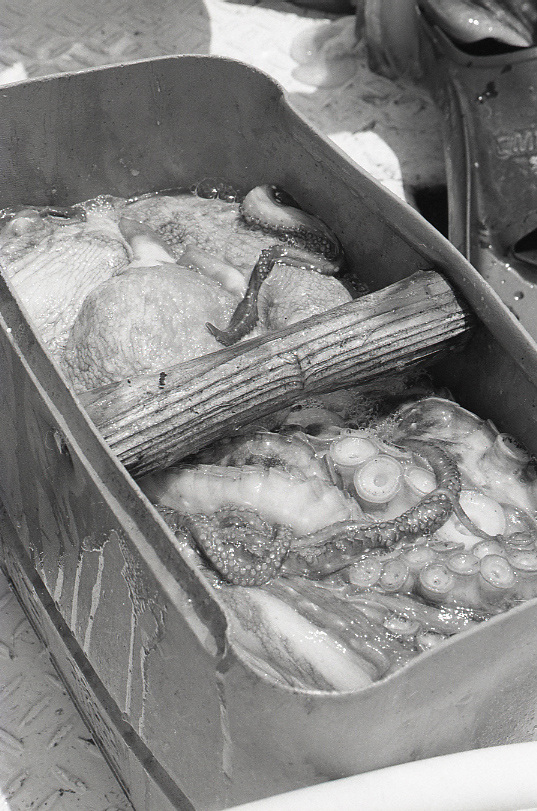 19-052-0021 19-052-0021