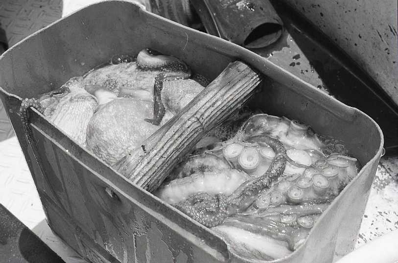 19-052-0022 19-052-0022