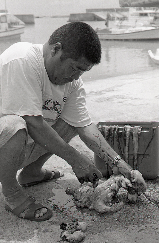 19-054-0002 19-054-0002