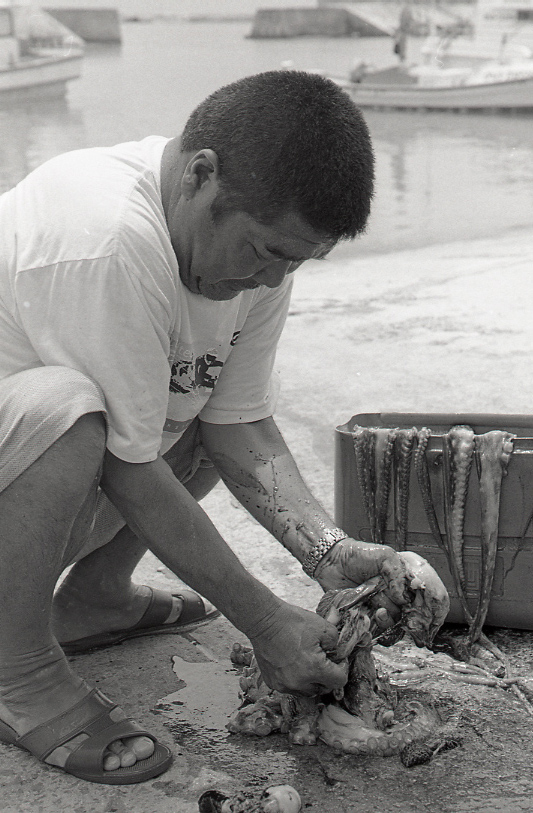 19-054-0003 19-054-0003