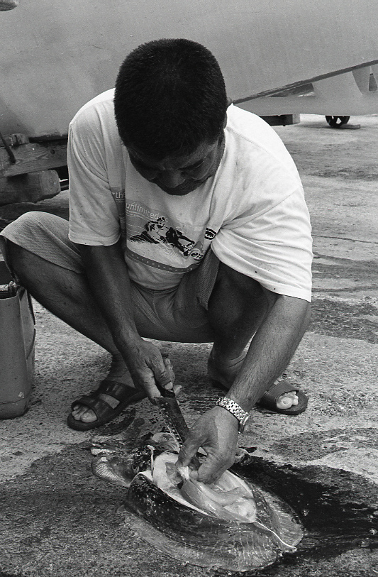 19-054-0004 19-054-0004