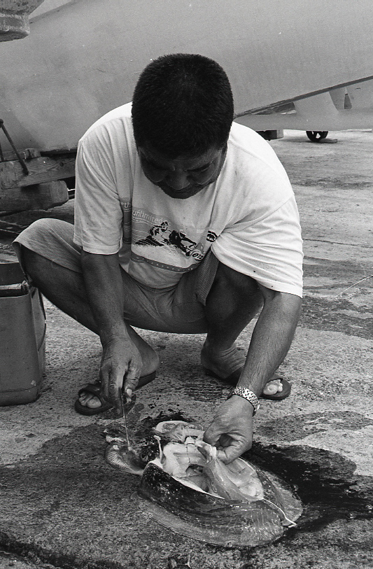 19-054-0005 19-054-0005