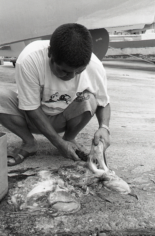 19-054-0012 19-054-0012