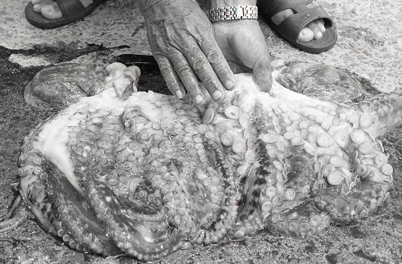 19-054-0013 19-054-0013