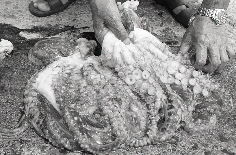 19-054-0014 19-054-0014