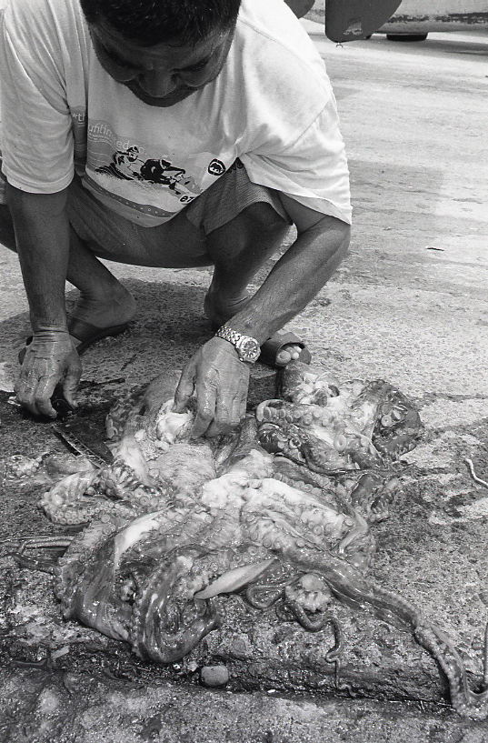 19-054-0015 19-054-0015