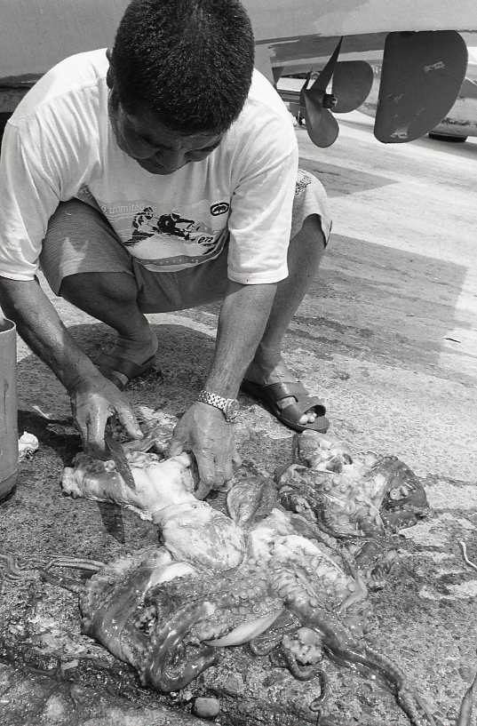 19-054-0016 19-054-0016