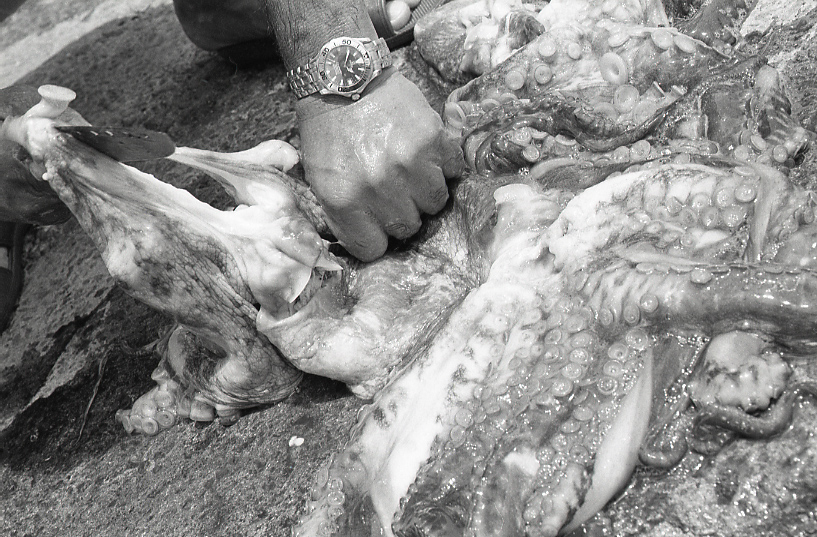 19-054-0017 19-054-0017