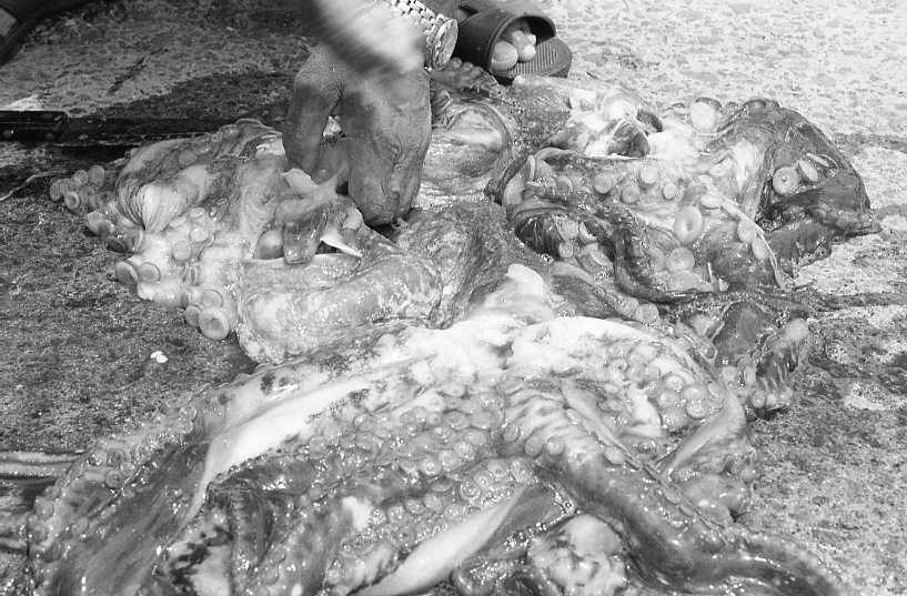 19-054-0018 19-054-0018