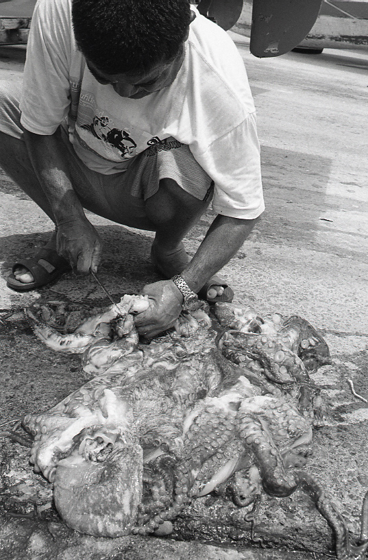 19-054-0019 19-054-0019