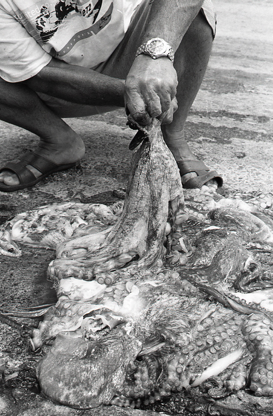 19-054-0020 19-054-0020