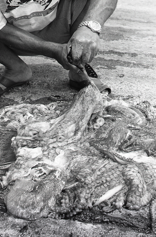 19-054-0021 19-054-0021