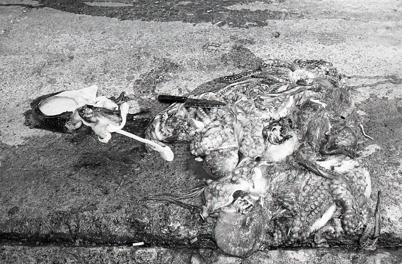 19-054-0023 19-054-0023