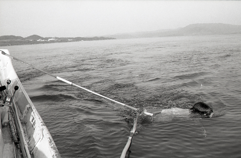 19-055-0008 19-055-0008