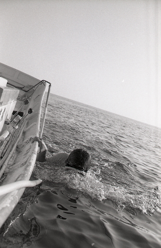 19-056-0002 19-056-0002