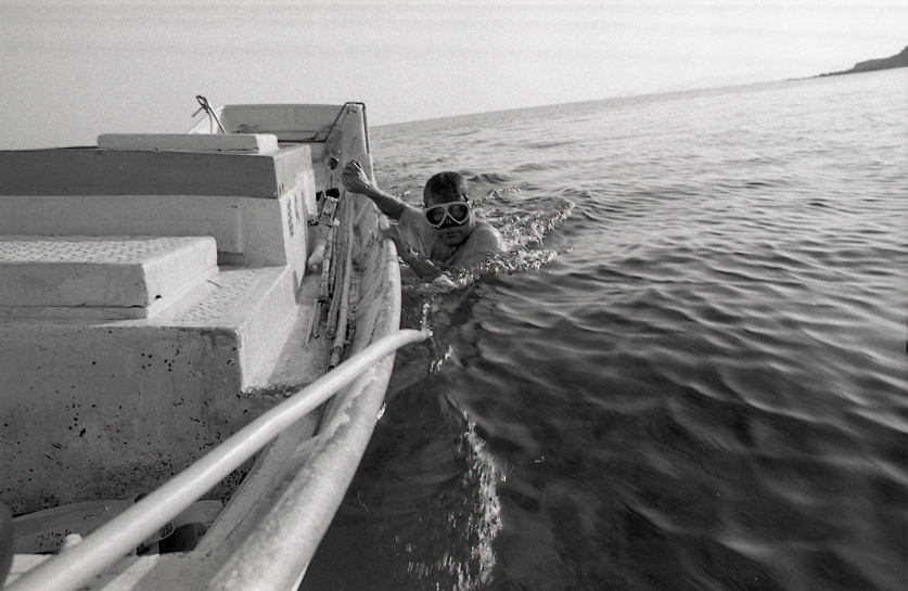 19-056-0006 19-056-0006