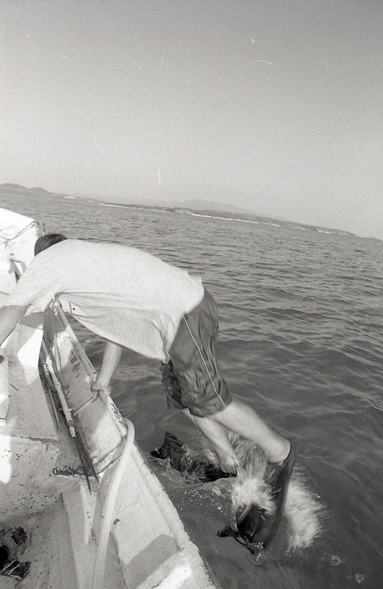 19-056-0011 19-056-0011