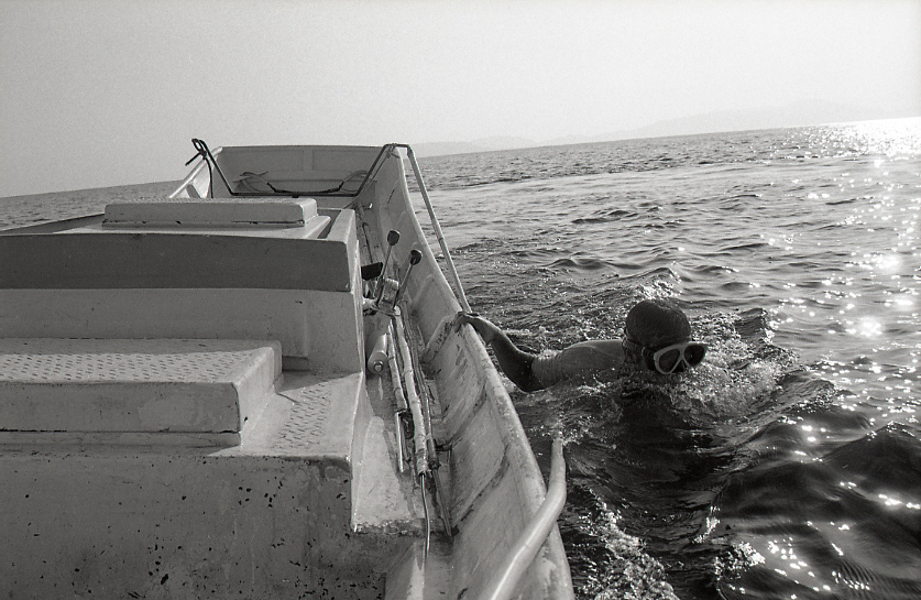 19-056-0012 19-056-0012