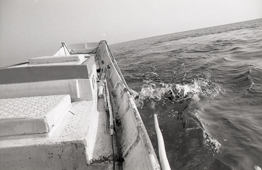 19-056-0015 19-056-0015