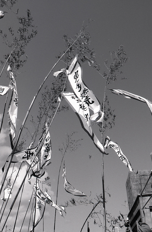 20-223-0003 20-223-0003