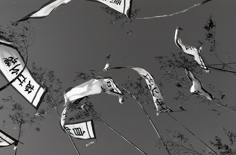 20-223-0004 20-223-0004