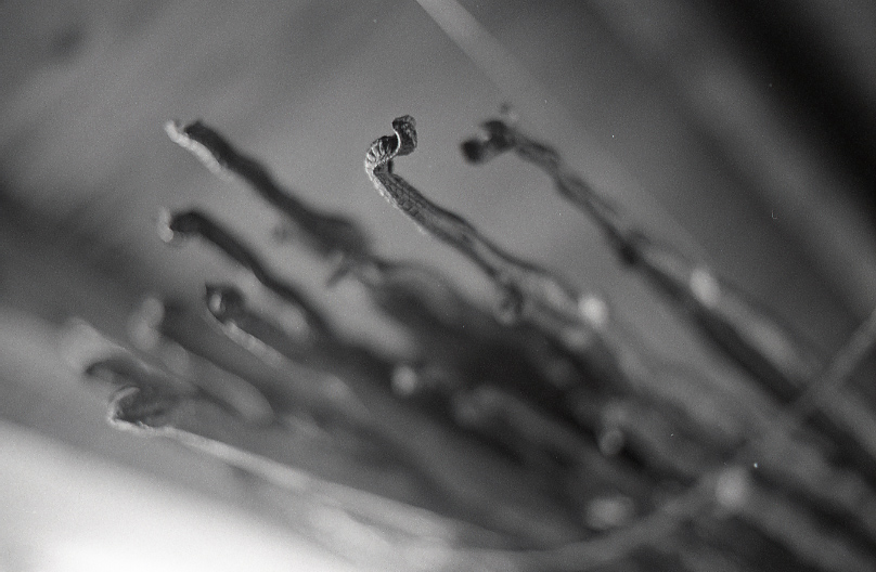 21-261-0003 21-261-0003