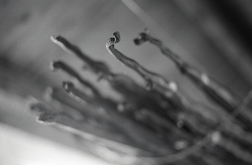 21-261-0004 21-261-0004