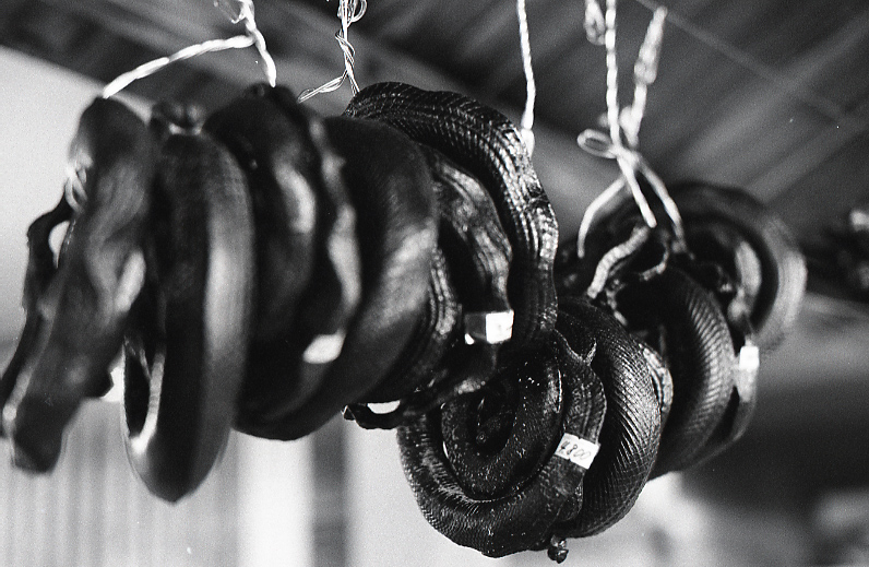 21-261-0006 21-261-0006