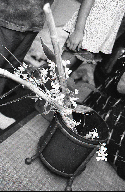 21-264-0005 21-264-0005