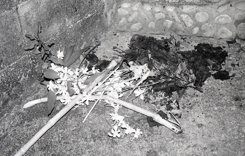 21-264-0006 21-264-0006