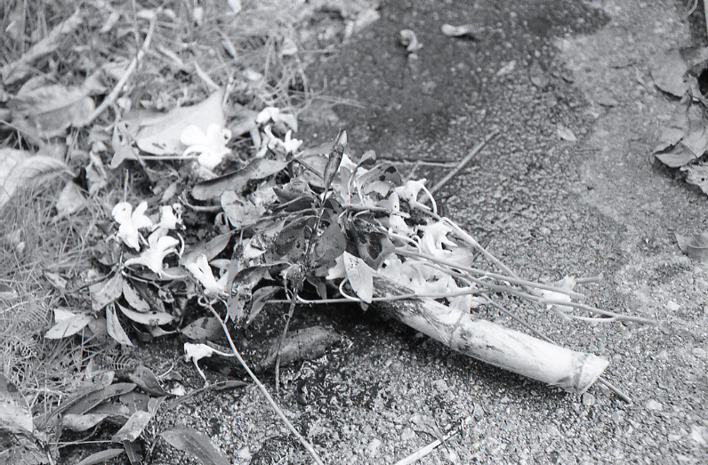 21-277-0001 21-277-0001