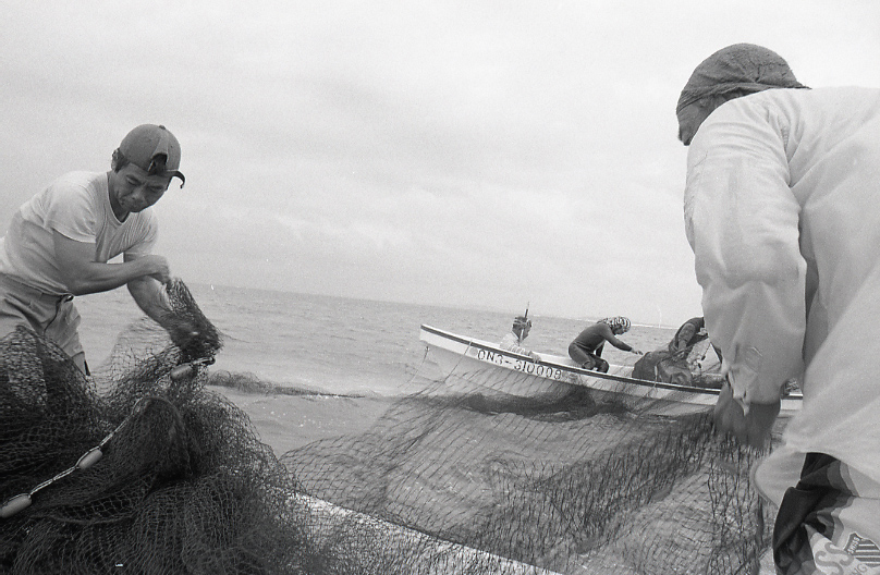 21-323-0006 21-323-0006