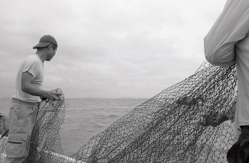 21-323-0008 21-323-0008