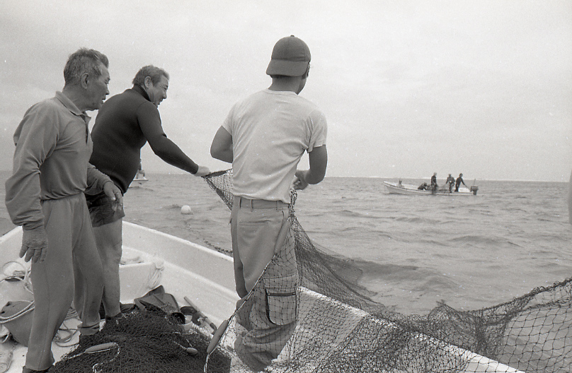 21-323-0010 21-323-0010