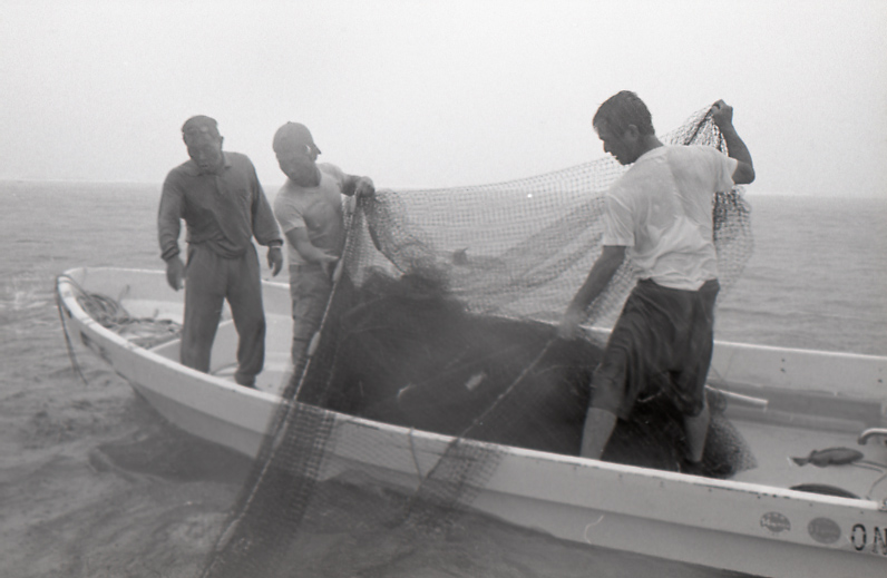 21-328-0008 21-328-0008