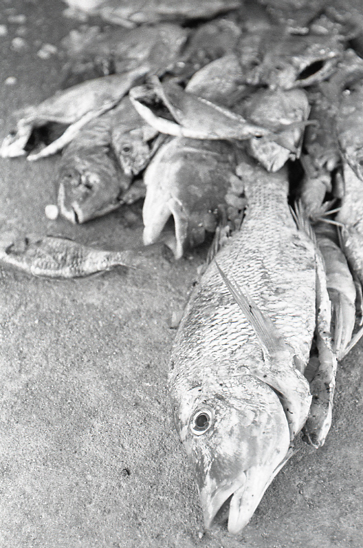 21-333-0002 21-333-0002