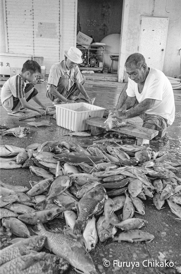 21-334-0002 21-334-0002