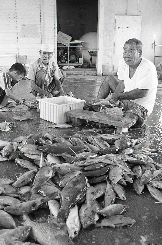 21-334-0003 21-334-0003