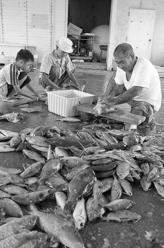 21-334-0004 21-334-0004